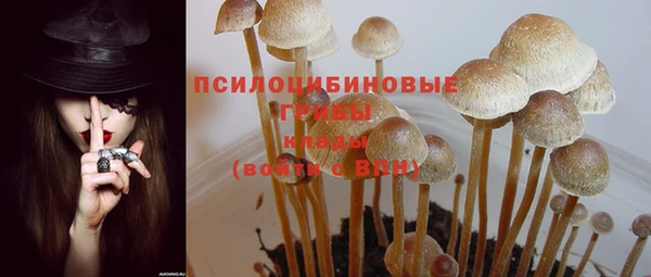 марихуана Заводоуковск